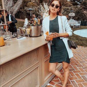 BCBG Mesh Body Con Dress